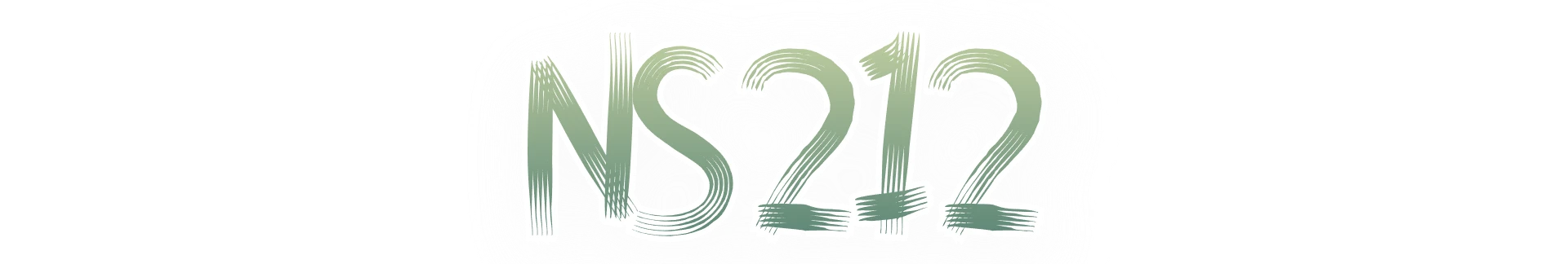 NS212
